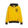 Puma Posterize 2.0 Hoodie Erkek Sweatshirt