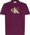 Calvin Klein SS CLASSIC MONOLOGO METALLIC CNE Kadın Kırmızı T-Shirt