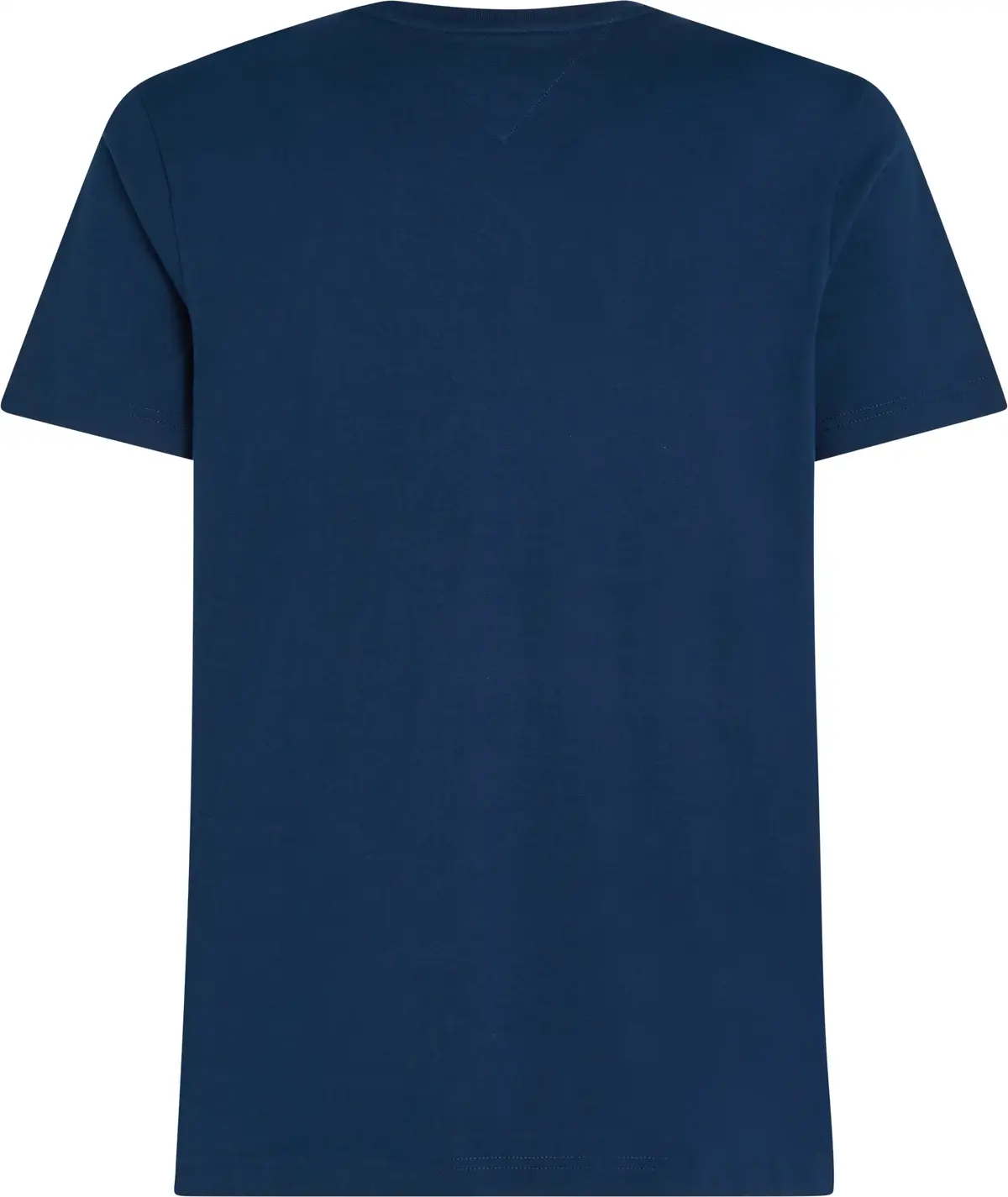 Tommy Hilfiger HILFIGER COLOR PHOTO, DAF Lacivert Erkek T-Shirt & Polo