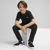 Puma EVOSTRIPE Tee Siyah Erkek T-Shirt