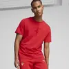 Puma Ferrari Race Tonal Shield T Kırmızı Erkek T-Shirt