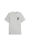 Puma SQUAD Graphic Tee Açık Gri Erkek T-Shirt