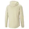 Puma EVOSTRIPE Full-Zip Hoodie DK Granola Erkek Fermuarlı Ceket