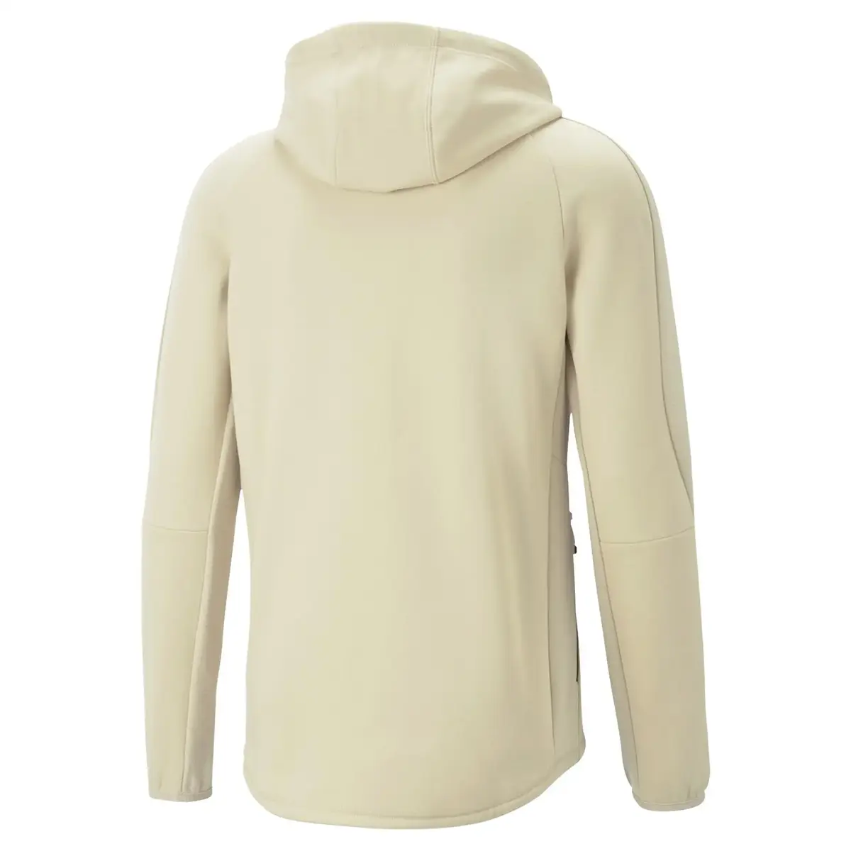 Puma EVOSTRIPE Full-Zip Hoodie DK Granola Erkek Fermuarlı Ceket