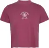 Tommy Hilfiger TJW REG SH VARSITY C, XIP Pembe Kadın T-Shirt & Polo