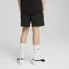 Puma EVOSTRIPE Shorts DK Siyah Erkek Şort