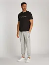 BIG HILFIGER TEE, BDS