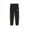 PUMA Caution Pant Siyah Erkek Eşofman Altı