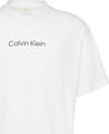 Calvin Klein SS STANDARD LOGO 30S CREWNK TEE Beyaz Erkek T-Shirt