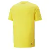 Puma PL Graphic Tee Sarı Erkek/Unisex T-Shirt