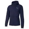 Puma Evostrıpe Core Fz Hoodie Siyah Erkek Hoodie