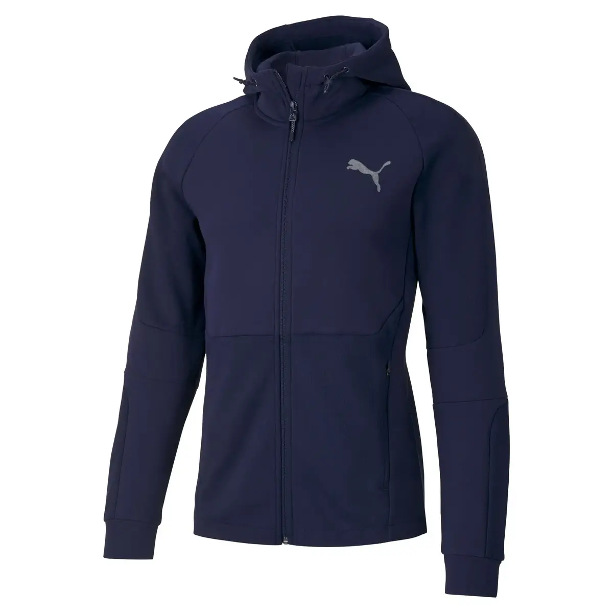 Puma Evostrıpe Core Fz Hoodie Siyah Erkek Hoodie