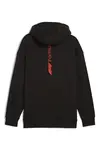 Puma F1 ESS+ Graphic Hoodie Siyah Erkek Hoodie