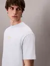 Calvin Klein SS 16S RLXD FIT CKJ GRAPHIC TEE Mavi Erkek Tişört