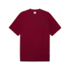 Puma CLASSICS Relaxed Graphic Tee Bordo Erkek T-Shirt