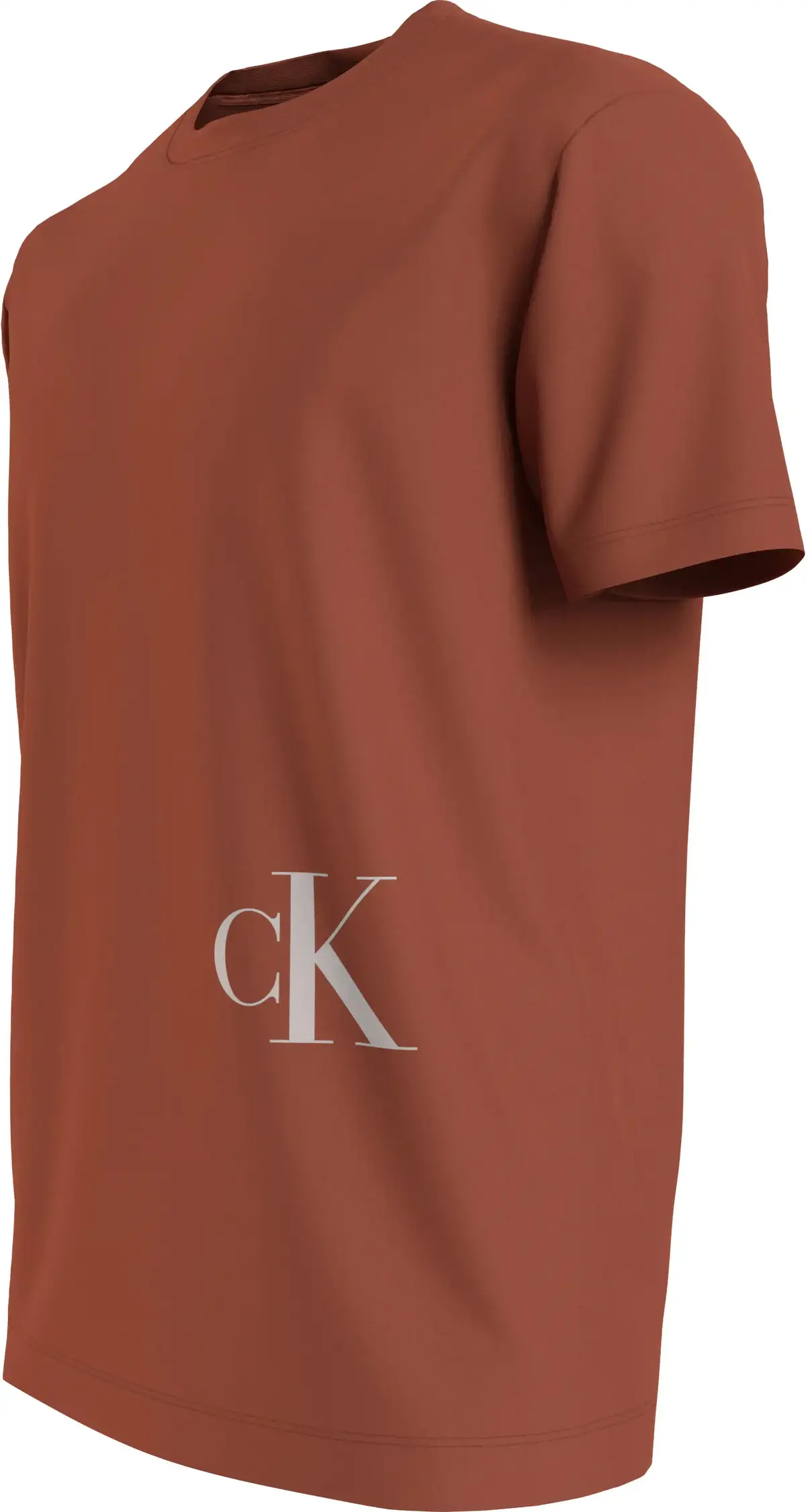 Calvin Klein COLOR MONOGRAM GRAPH Erkek Kahverengi T-Shirt