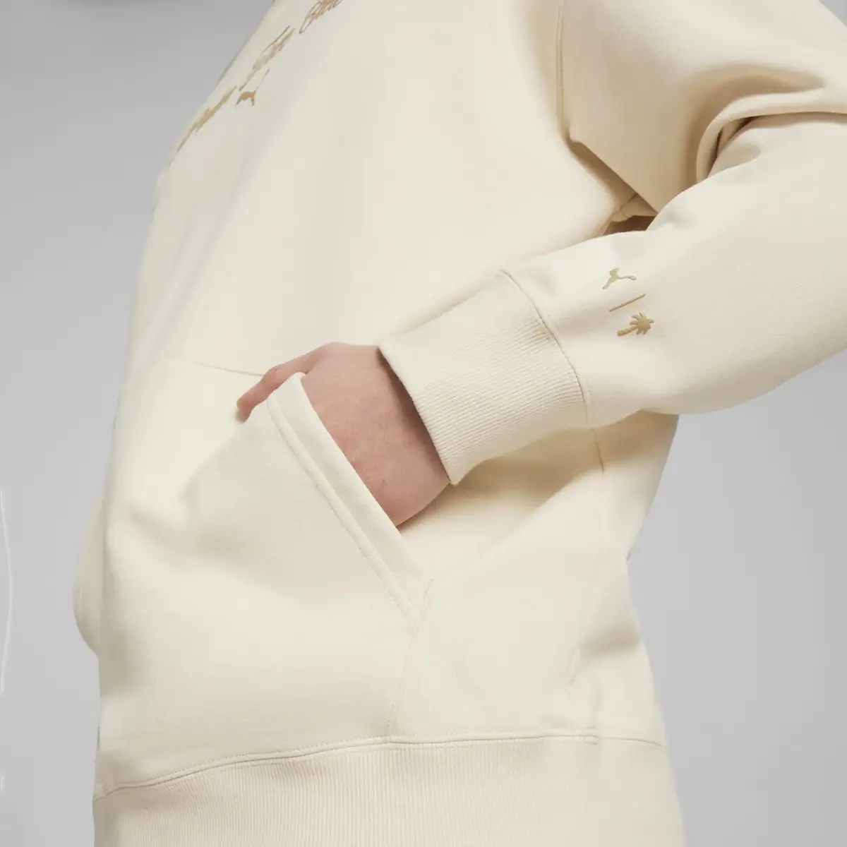 PUMA X PTC Graphic Hoodie Krem Erkek Hoodie