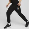 Puma SWxP Sweatpants Siyah Erkek Eşofman Altı
