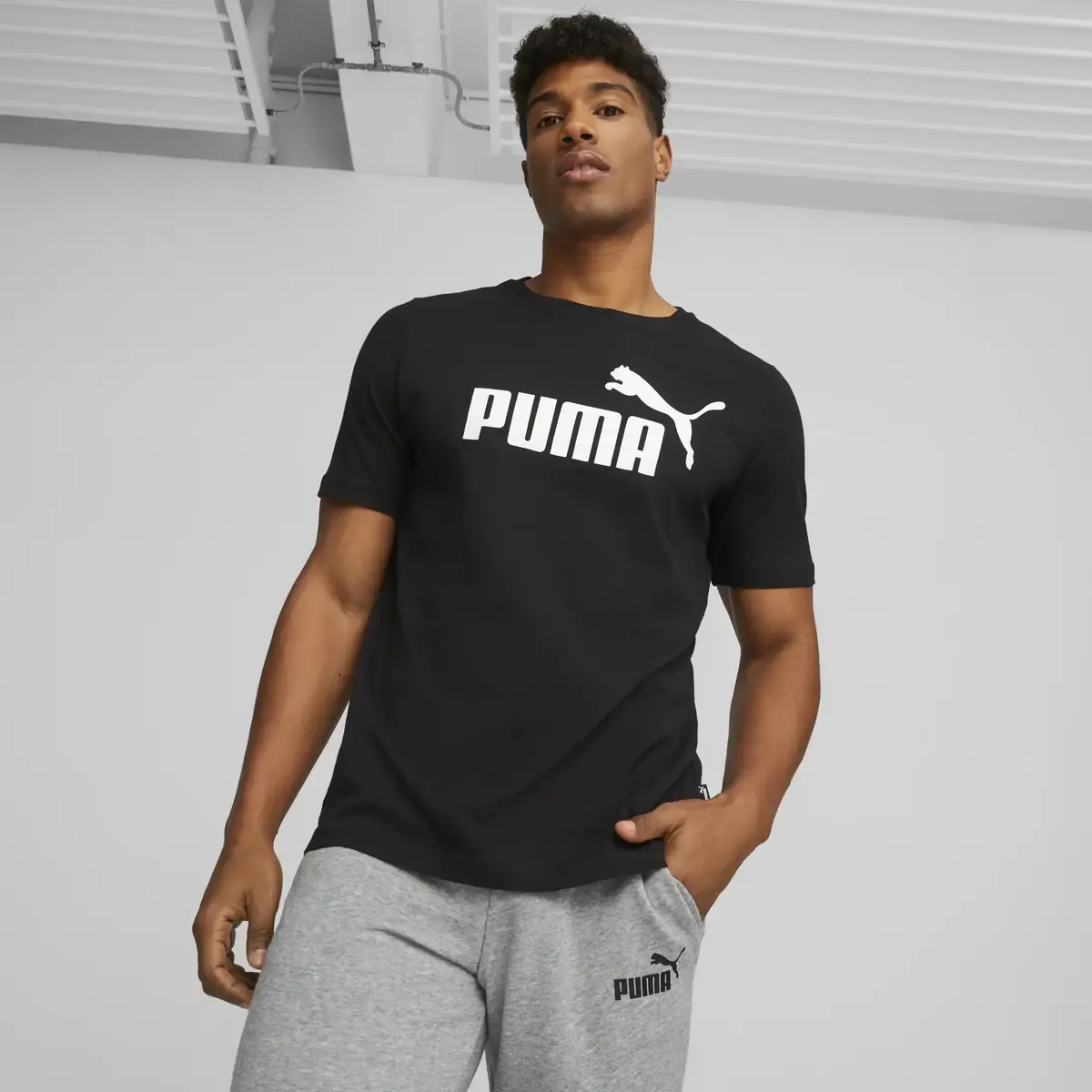 Puma ESS Small Logo Tee Siyah Erkek T-Shirt & Polo