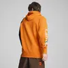 Puma X CARROTS Hoodie Turuncu Erkek Hoodie