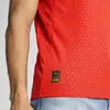 PUMA FPF Home Jersey Replica Kırmızı Erkek Forma