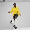 Puma teamGOAL All Weather Jacket Sarı Erkek Yağmurluk