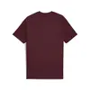 Puma PUMATECH Tee Kırmızı Erkek T-Shirt