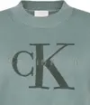 Calvin Klein CHUNKY COTTON GRAPHIC VEST Kadın Turkuaz T-Shirt
