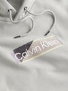 Calvin Klein LAYERED GEL LOGO HOO Erkek Gri Hoodie
