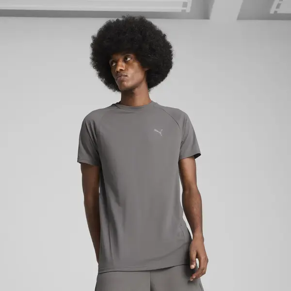 PUMA EVOSTRIPE Tee Gri Erkek T-Shirt