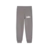 Puma ESS+ SUMMER CAMP Sweatpants Unisex Eşofman Altı