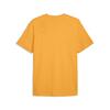 Puma GSK FtblCulture Tee GALATASARAY FtblCulture Erkek Tişört