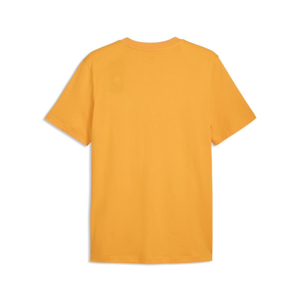 Puma GSK FtblCulture Tee GALATASARAY FtblCulture Erkek Tişört