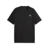 Puma TRAINING Tee Siyah Erkek T-Shirt & Polo