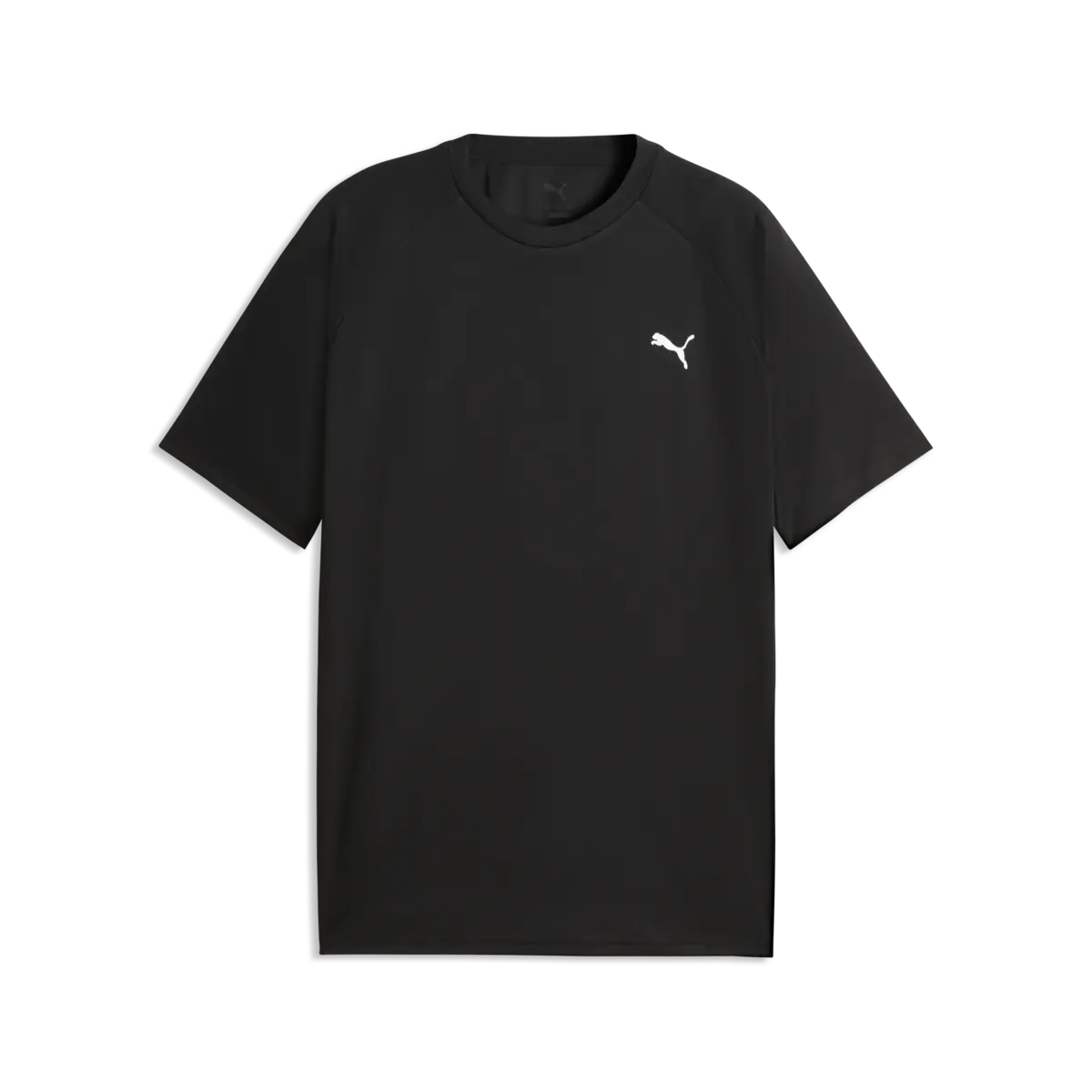 Puma TRAINING Tee Siyah Erkek T-Shirt & Polo