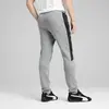 Puma EVOSTRIPE CORE Pants Gri Erkek Eşofman Altı