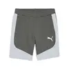 Puma EVOSTRIPE Shorts 8'' DK Gri Erkek Şort