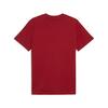 Puma GSK FtblESS Tee GALATASARAY FtblESSENTIALS Erkek Tişört