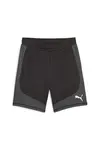 Puma EVOSTRIPE Shorts 8 DK Siyah Erkek Şort