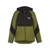 Puma EVOSTRIPE Full-Zip Hoodie DK Yeşil Erkek Sweatshirt