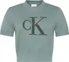 Calvin Klein CHUNKY COTTON GRAPHIC VEST Kadın Turkuaz T-Shirt