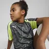 Puma individualLIGAGraphic Jsy jr Unisex Sweatshirt