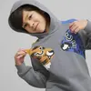 Puma T7 MATES Hoodie TR Gray Tile Erkek/Unisex Hoodie
