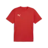 Puma teamGOAL Jersey Kırmızı Erkek T-Shirt