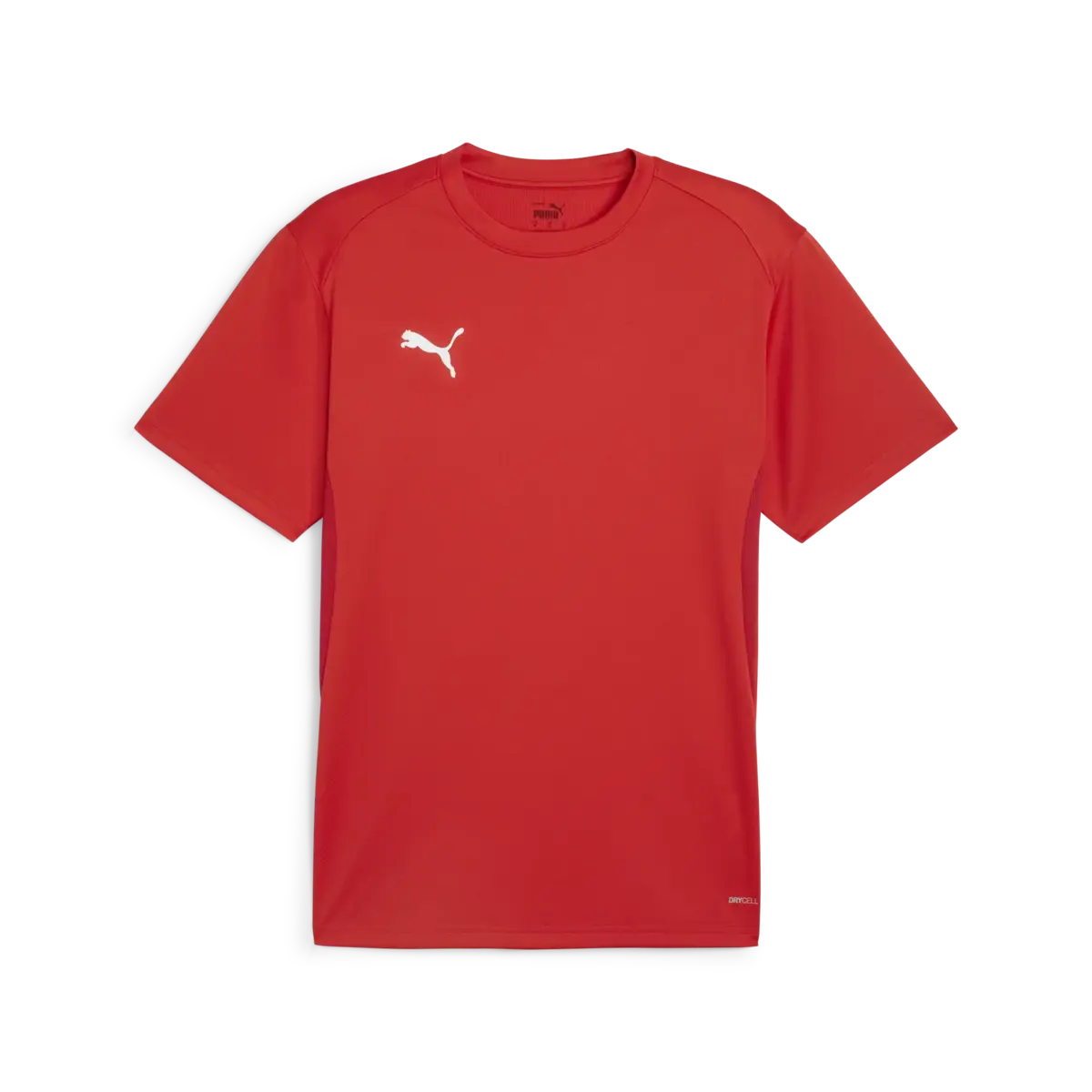 Puma teamGOAL Jersey Kırmızı Erkek T-Shirt