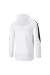 Puma Evostripe Full-Zip Hoodie Beyaz Erkek Fermuarlı Hoodie
