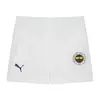 Puma Fenerbahçe Home Babykit Medieval Blue Erkek Çocuk Takım Forması