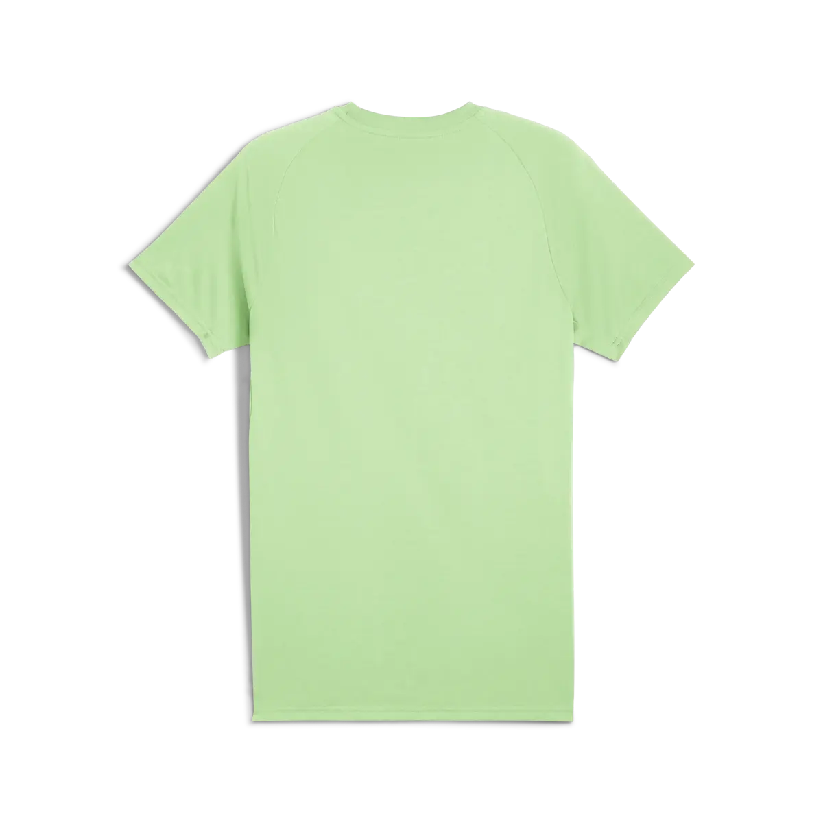 Puma Yeşil Erkek Yeşil T-Shirt