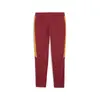 Puma GSK EVOSTRIPE Pants Kırmızı Erkek Eşofman Altı