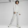 Puma EVOSTRIPE Full-Zip Hoodie Gri Kadın Sweatshirt